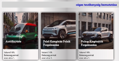 Céges tevékenység bemutatása